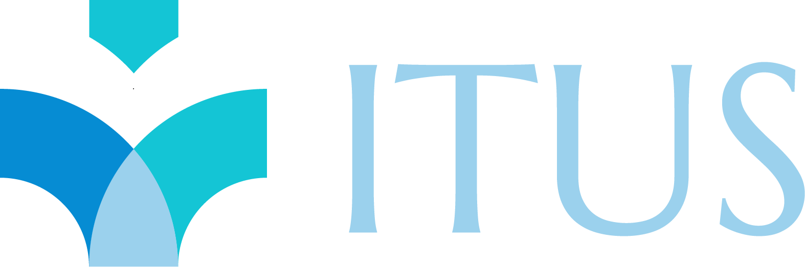 ITUS - International Tubeless and Uniportal Society